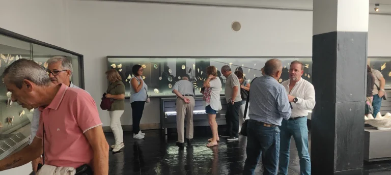 Fotografia 7 de Visita Vista Alegre | Delegação Norte