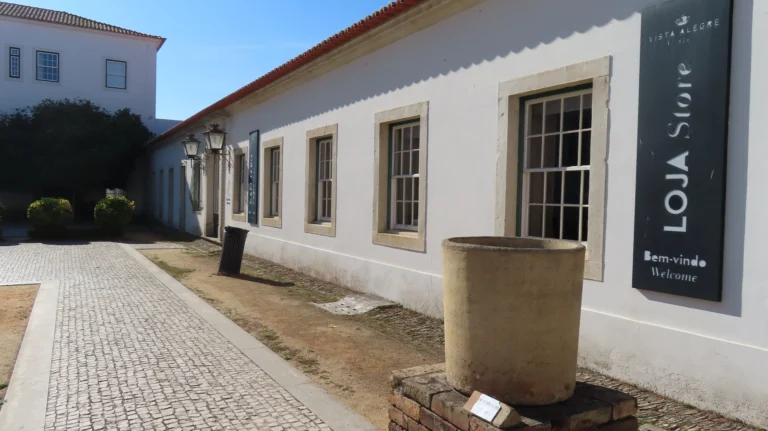 Fotografia 35 de Visita Vista Alegre | Delegação Norte